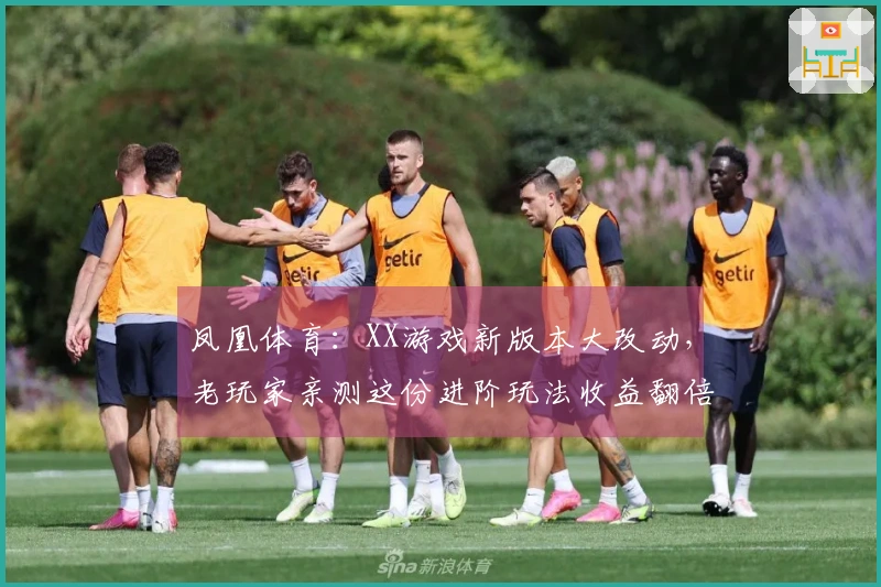 凤凰体育：XX游戏新版本大改动，老玩家亲测这份进阶玩法收益翻倍！